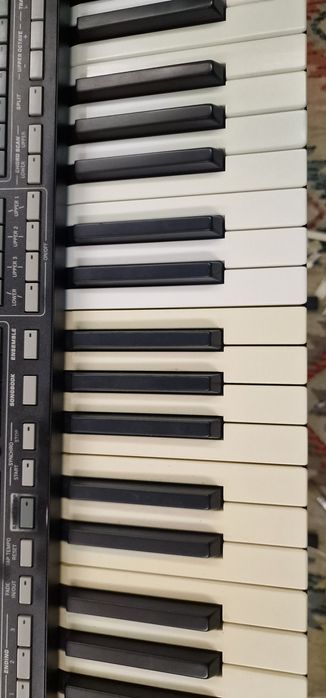 Recondiționare(albire) claviaturi Korg Pa3x,Pa4x,Pa2x,Pa1x