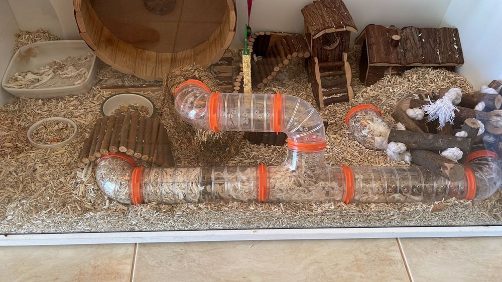 Cusca hamster cu accesorii casa și roata incluse