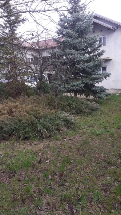 Casa cu teren Balotesti, IF, negociabil