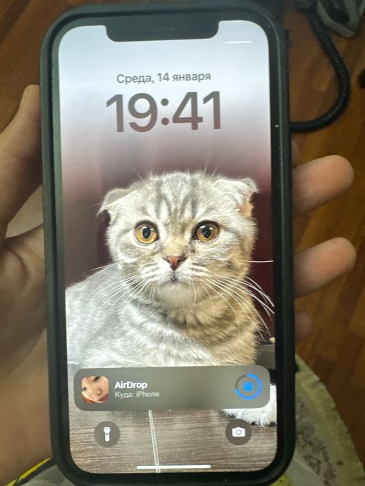 iphone 12, айфон 12