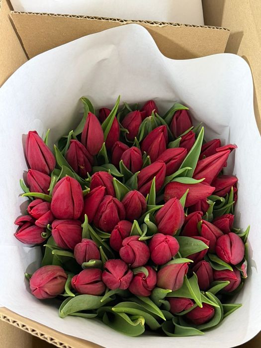 Тюльпаны по низким ценам