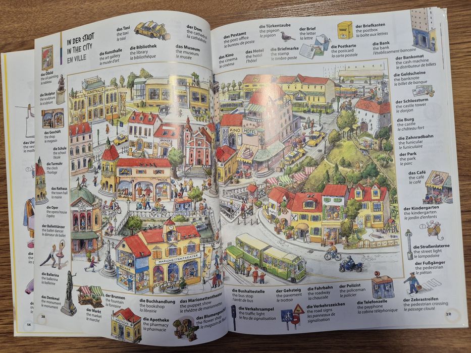 Lot dictionare in imagini si carte bilingva