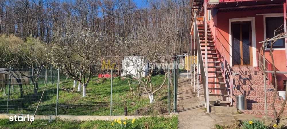 Casă P+M cu 1.558 mp teren, livadă și garaj