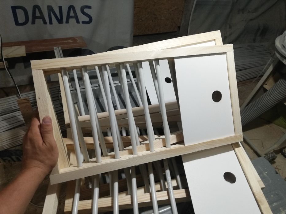 Fete de boxe porumbei