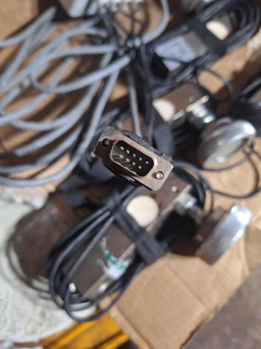 cantar de cantarit Animale