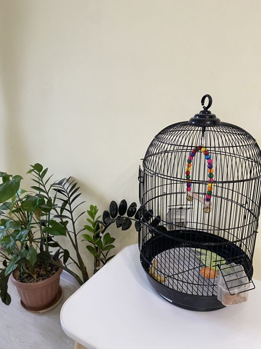 Клетка для попугаев