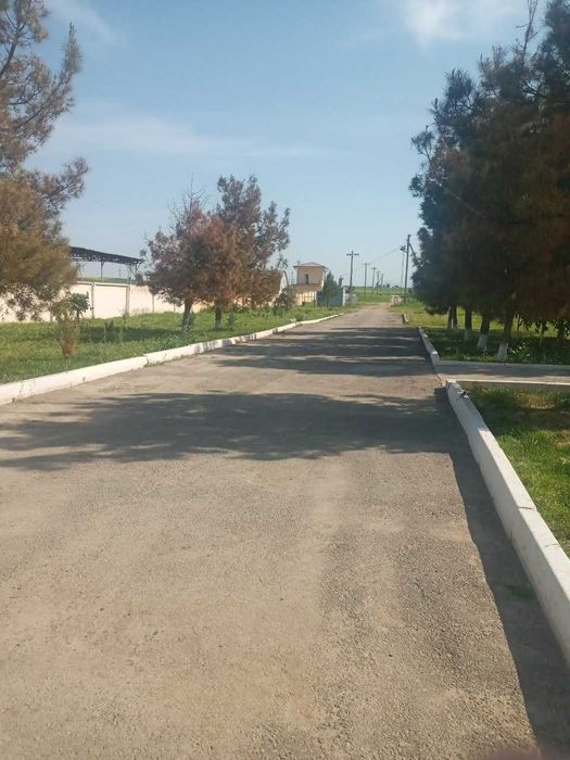 Продаю бизнес действующую молферму в Ташкентской области