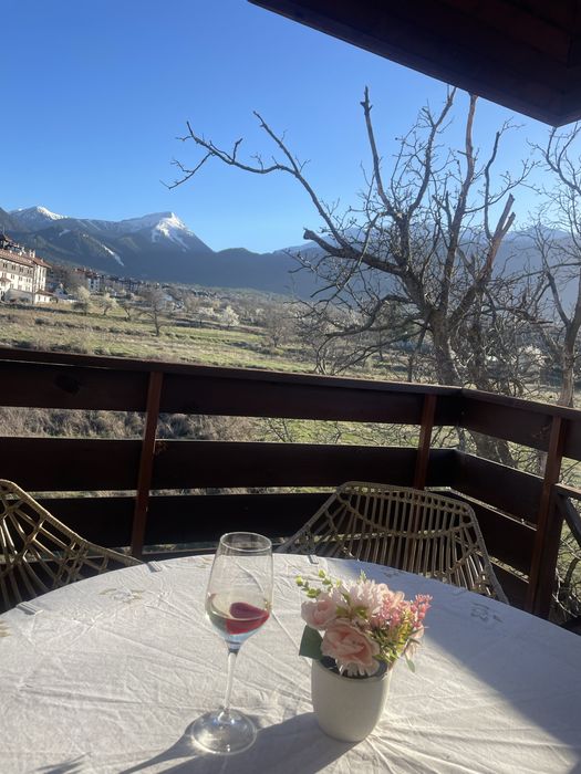 Дава се под наем Двустаен апартамент в Банско - 90 кв.м за 847.62 € - Снимка #17