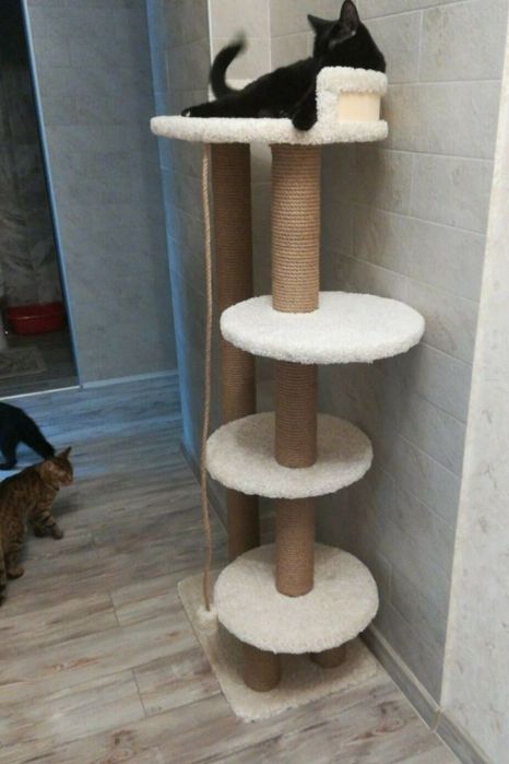 Когтеточка для котят и кошек.