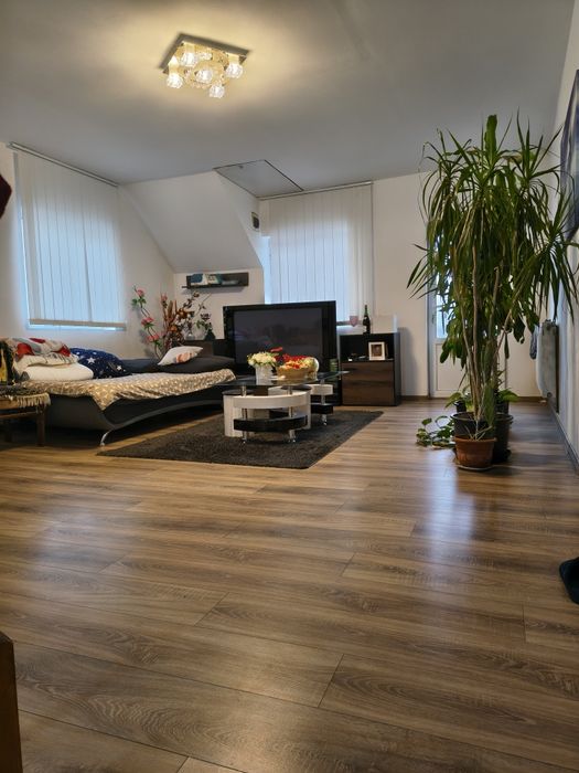 Casă individuală 6camere P+M 160m și teren 390m