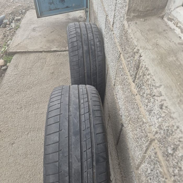 Жаздық дөңгелек, екі дана .