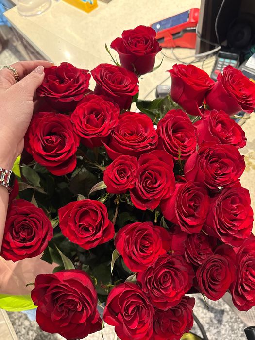 Меровые красные розы