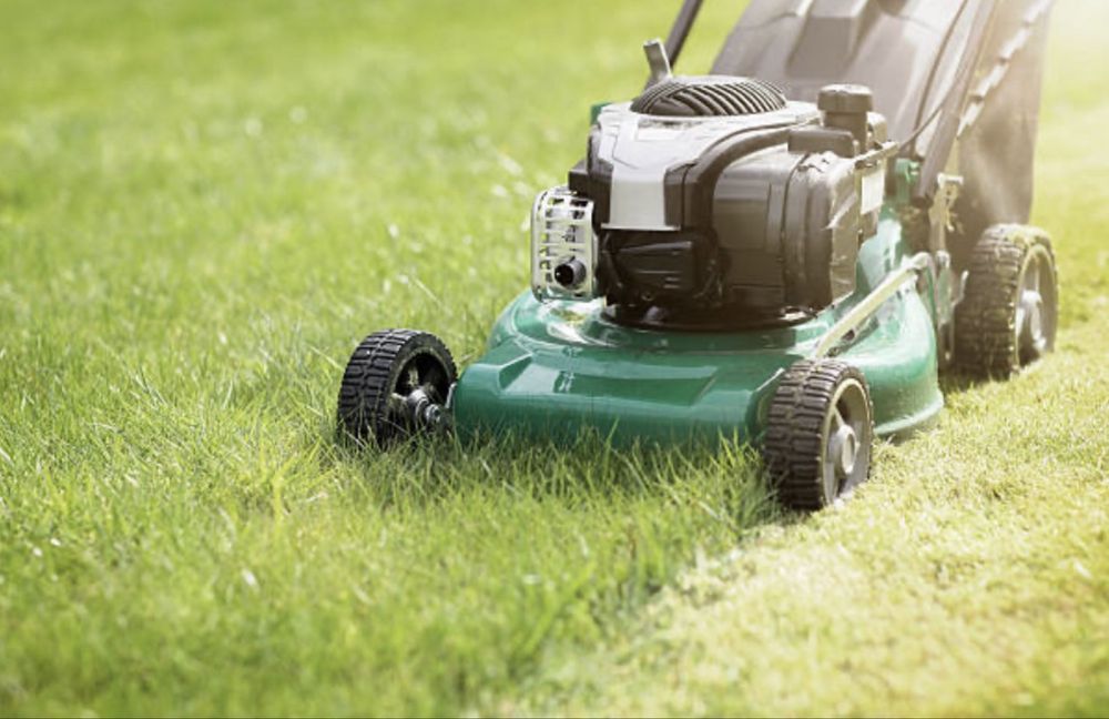 servicii tuns iarba, cosit, orice intretinere de gradina