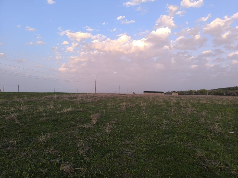 Сдам в аренду участок для посева