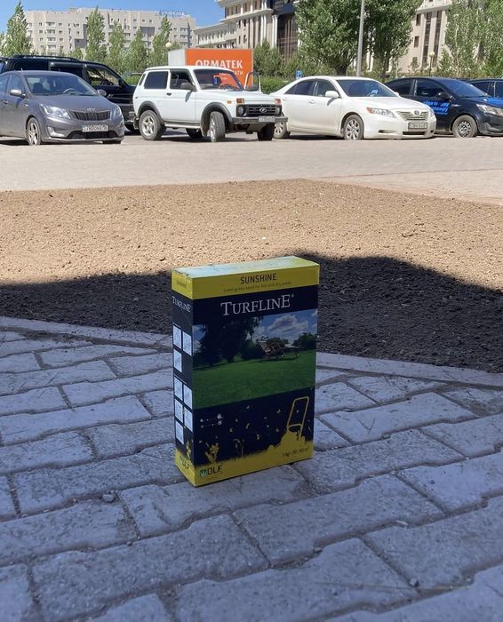 Деревья, цветы, газон