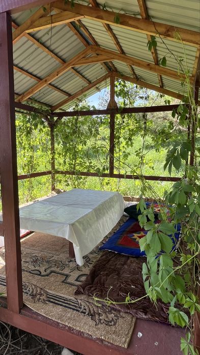 Отдых на природе