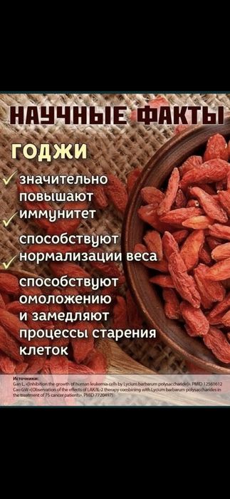 Саженци Годжи, плоди годжи очень богат вытаминам и полезная