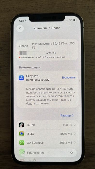Iphone 12 PRO ,256,100%