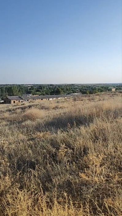 СРОЧНО! 4 Гектара в Кибрае по цене ниже рынка