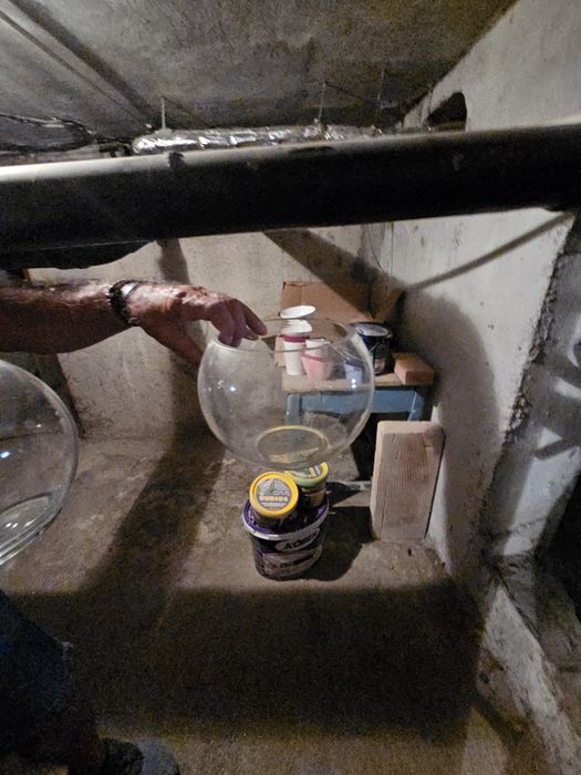 Bol pești ,stare foarte bună