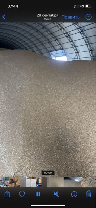 Продам Пшеницу Ячмень