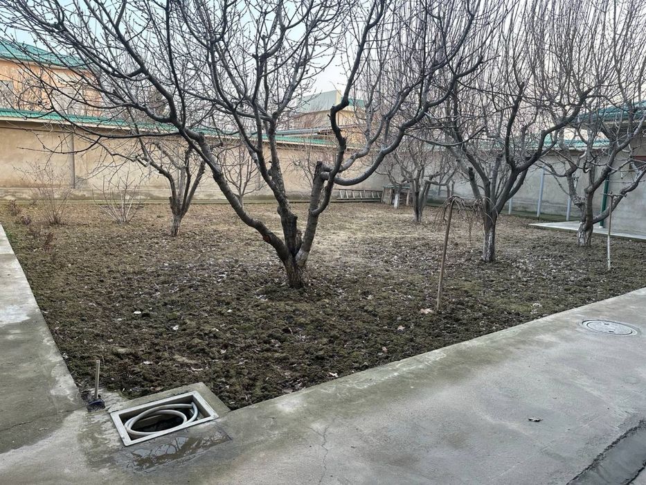 Мирзо улугбек туманида участка 6 сотик