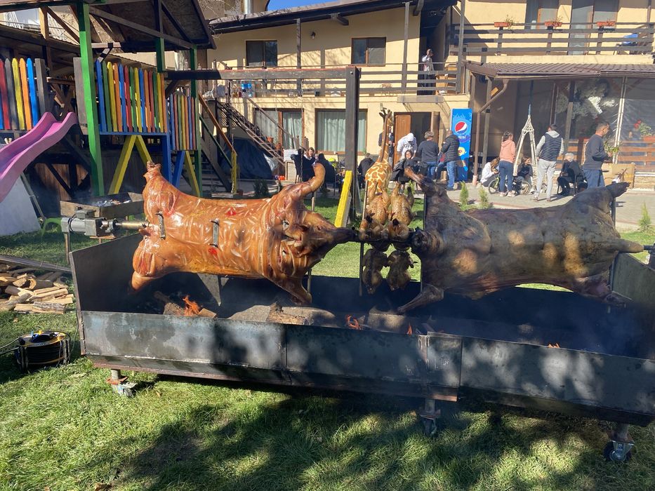 Porc , vitel si oaie facute la protap