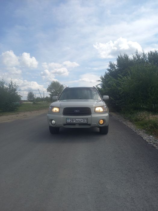 Продам  субарика