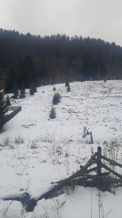 Teren la munte superb Ciocanu Dambovicioara