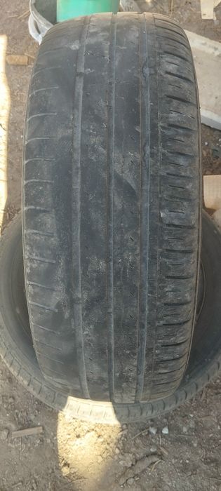 14likdiska boloʻn  sotiladi