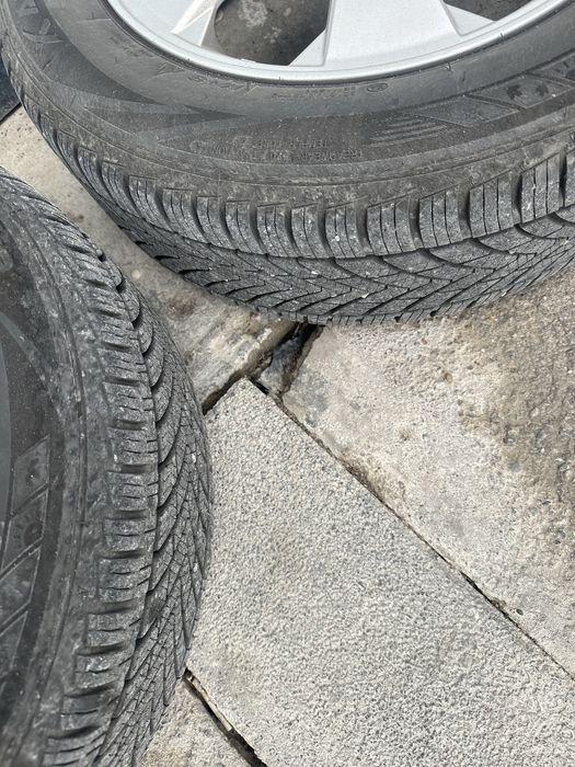 Jentra diska balon kampekt