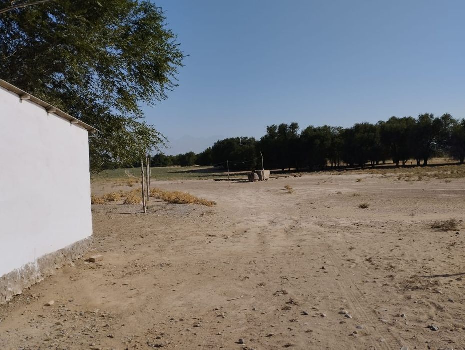 Продается Фазенда