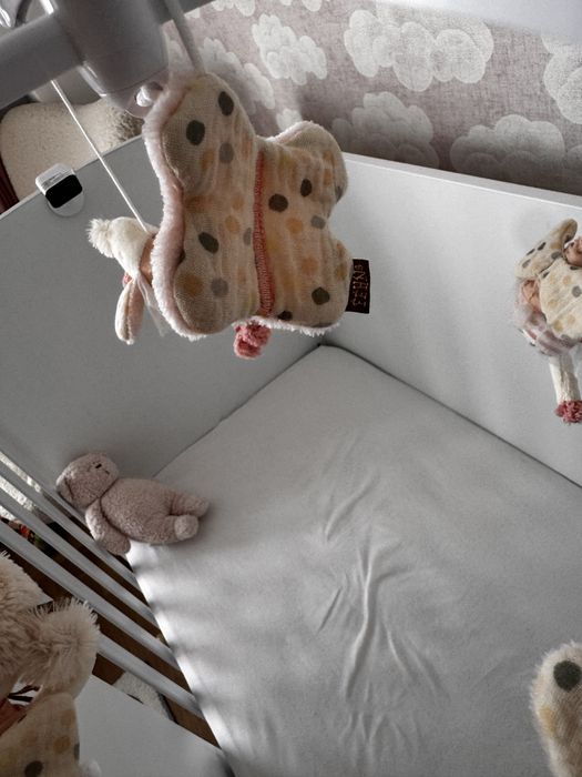 Музикална въртележка, Мобилна Fehn Dreamland