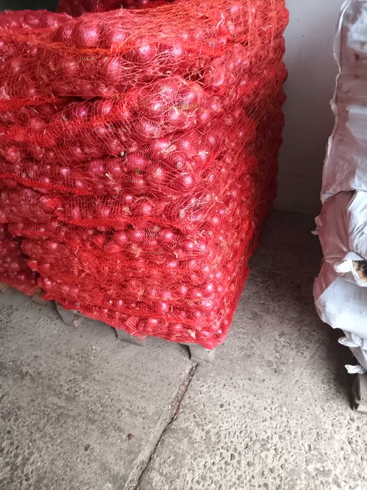Ceapă roșie la plasă 10 kg și 5kg