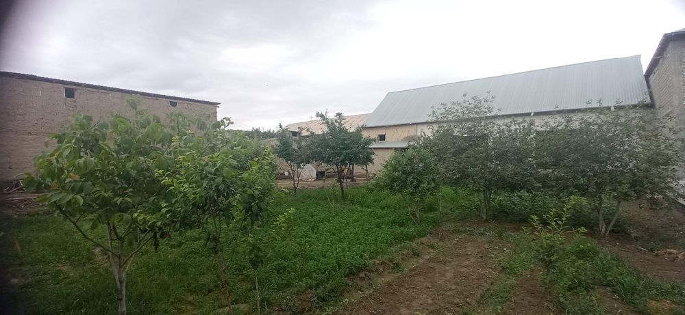 Uy sotiladi ibn sino