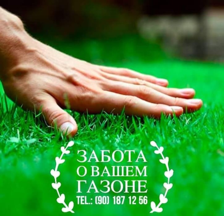 Автополив. Системы автоматического полива.