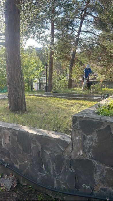 Скос травы ( скосить территорию) прополоть