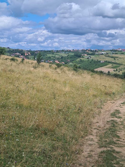 Teren extravilan  2500m2.  Panorama superba.-Salicea