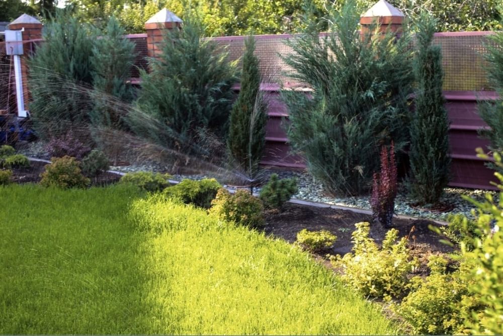 Газон и автополив