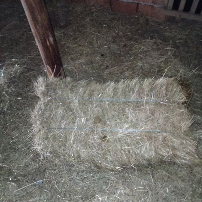 Vând baloți de fân