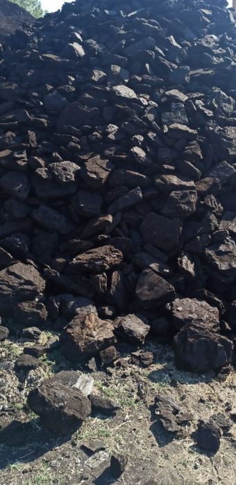 Lignit .carbune brun  mărunțit și sortat cărbune pentru încă