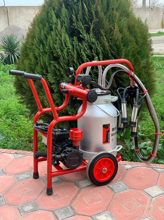 Keksa ayollar va semiz ayollar