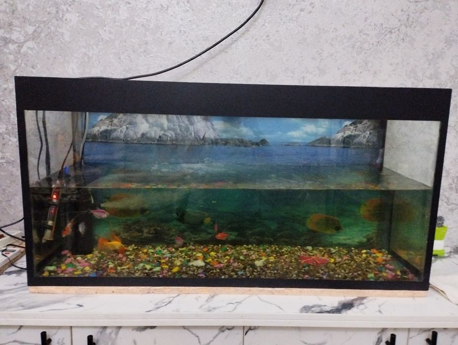 Аквариум без аксессуаров