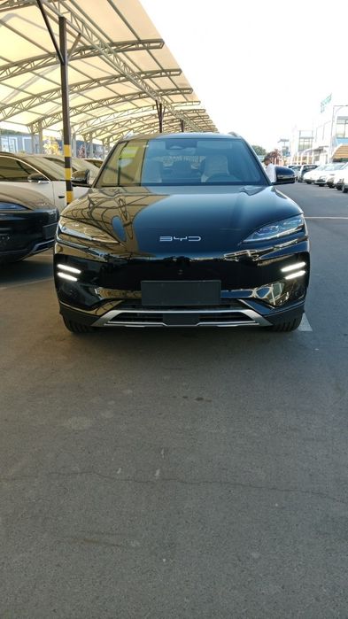 BYD Songplus chempion