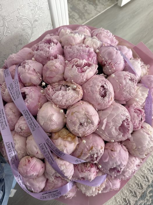 51 шт пионы сатылады