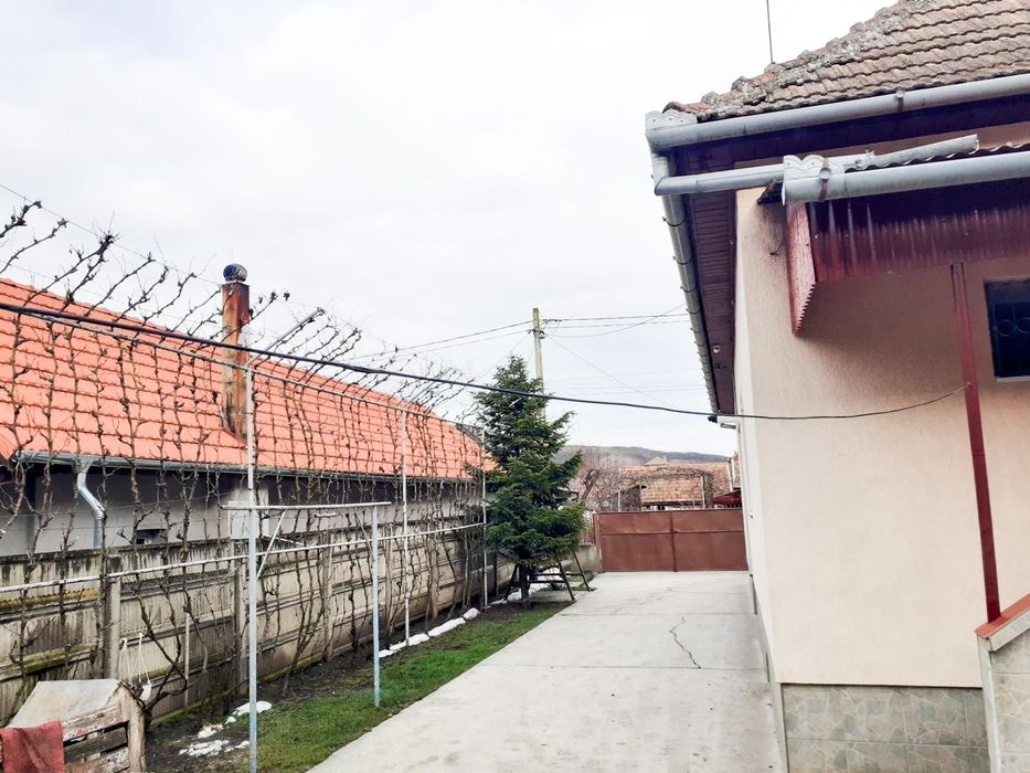 Casa cu grădina de vanzare