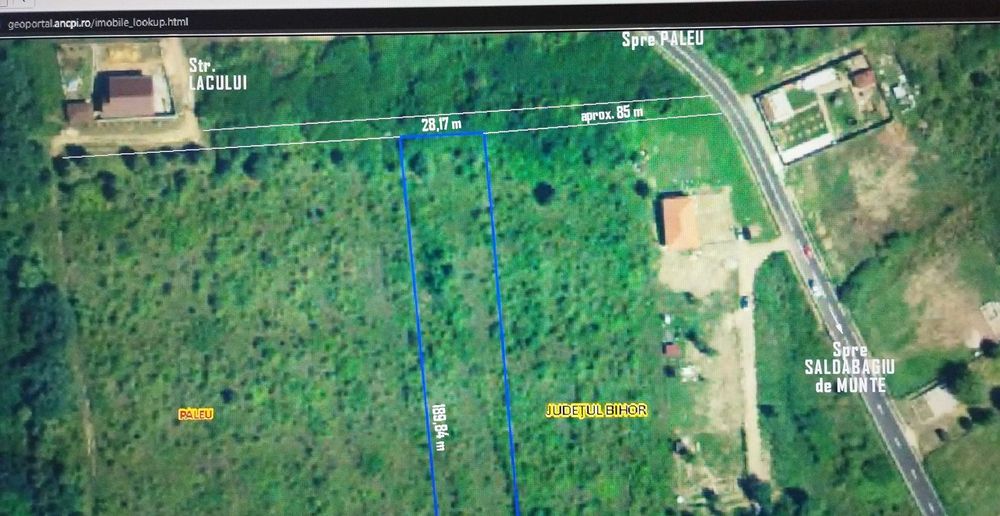 Teren 5094 mp Paleu – lângă lac – ideal investiție / parcelare