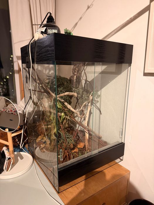 Терариум, използван много кратко 45/55