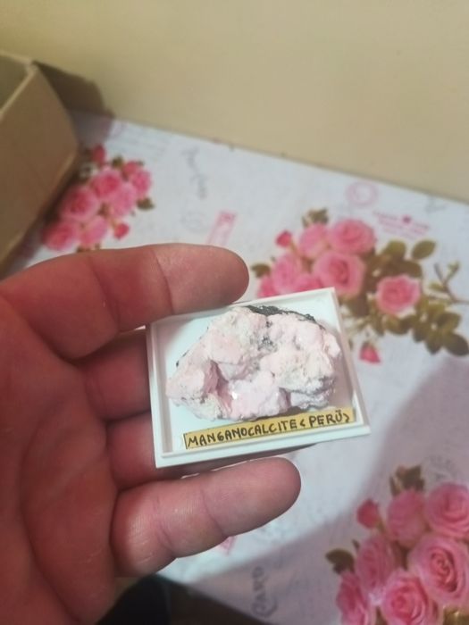 Flori de mina  din străinătate