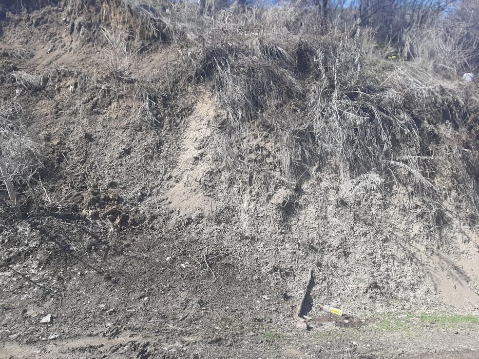 Алатындар болса тегін топырақ